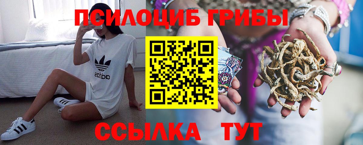 Псилоцибиновые грибы Cubensis  Вход с VPN  Зерноград 